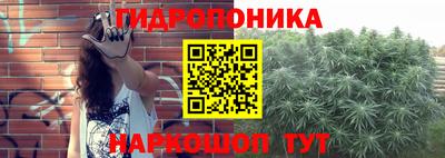 стафф Аргун