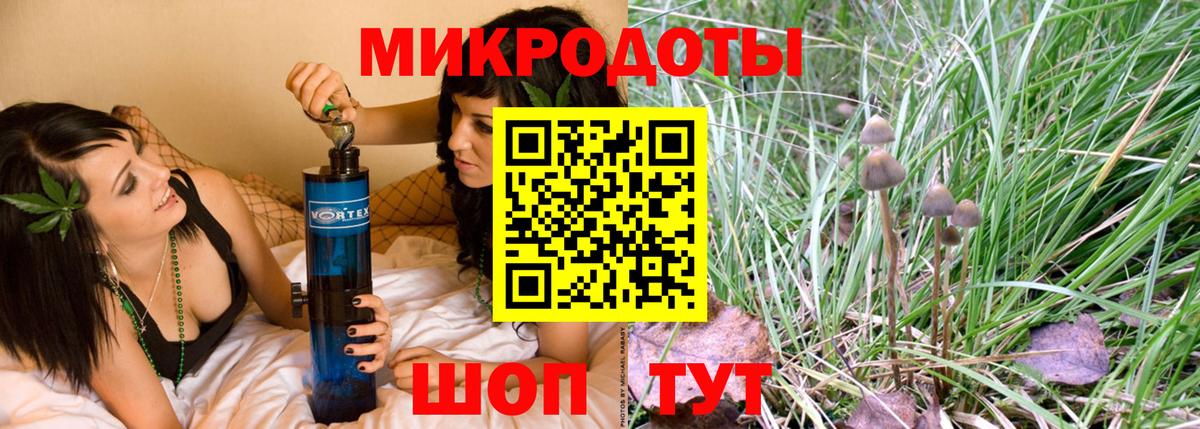 Галлюциногенные грибы прущие грибы  Гатчина 